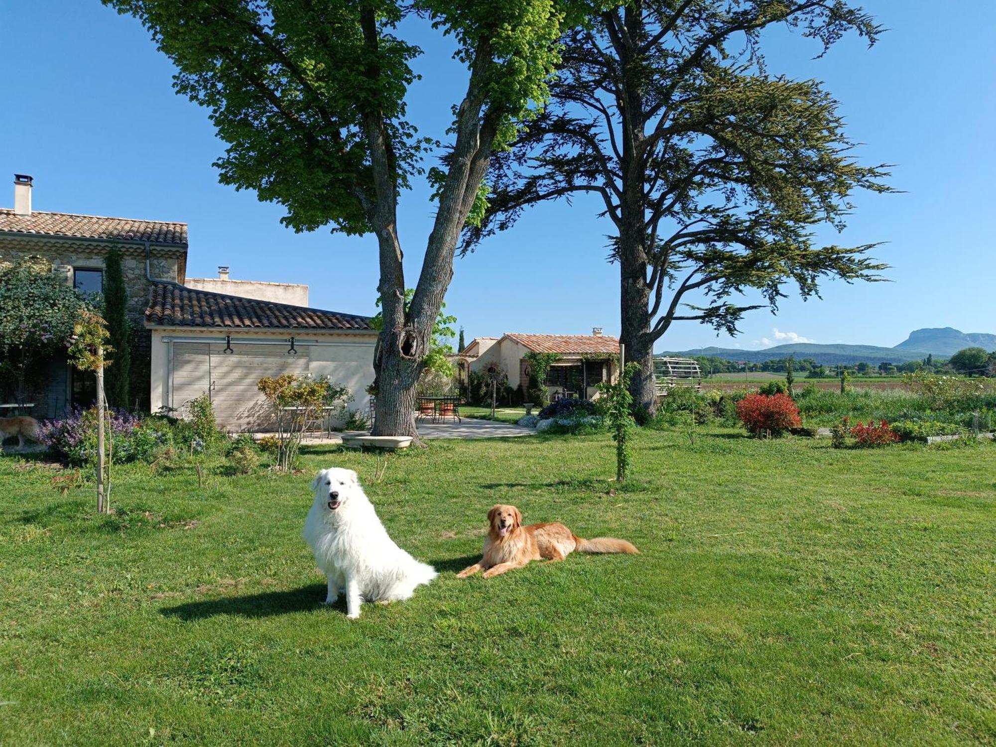 Bed & Breakfast La Boheme La Belle Etoile Petit Dejeuner Compris *